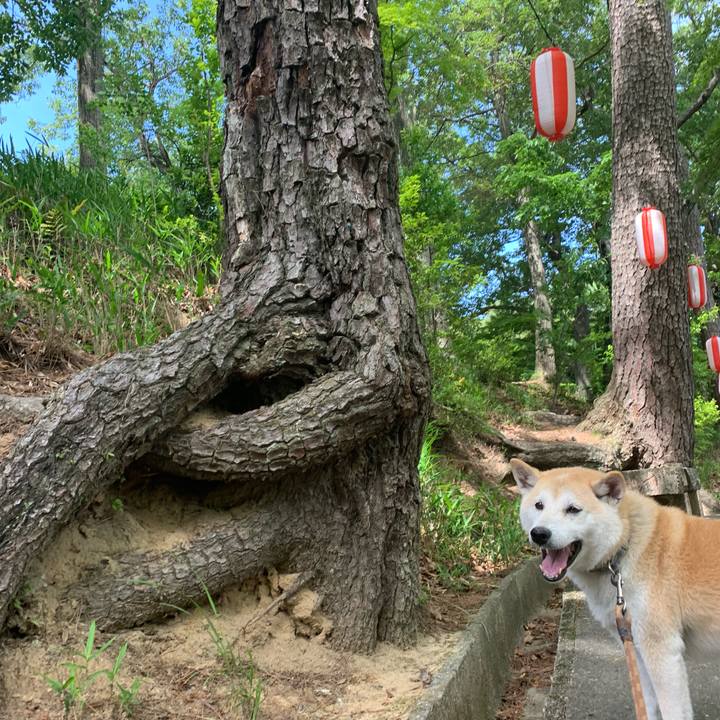 9bb902a8 030f 4a61 8623 4ab4ccfd69bc 1559481517305