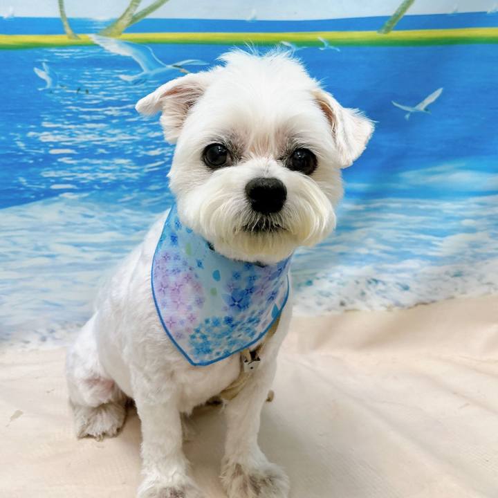 9bb909d1 5cf7 44a2 b539 d77d9637ed77 1719743243220