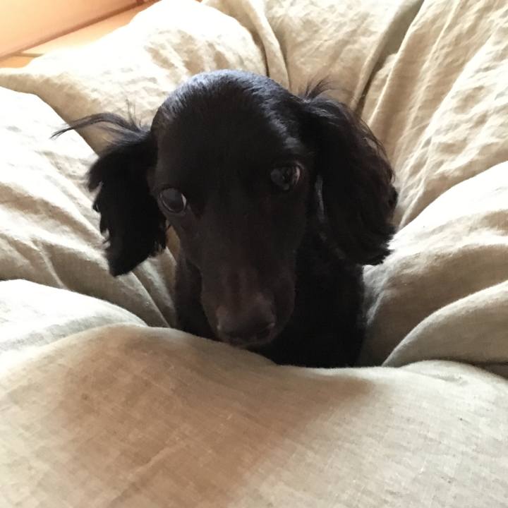 9bb922a0 7d84 43b5 a729 5eda9d49e5e7 1508201934974