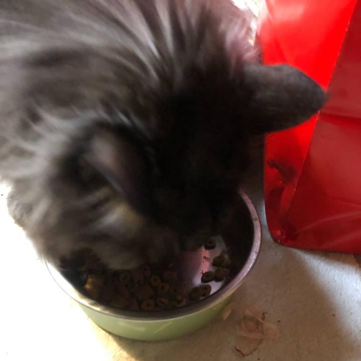 9bb92954 987d 4c6b 978e c68f42a5e460 1545775493772