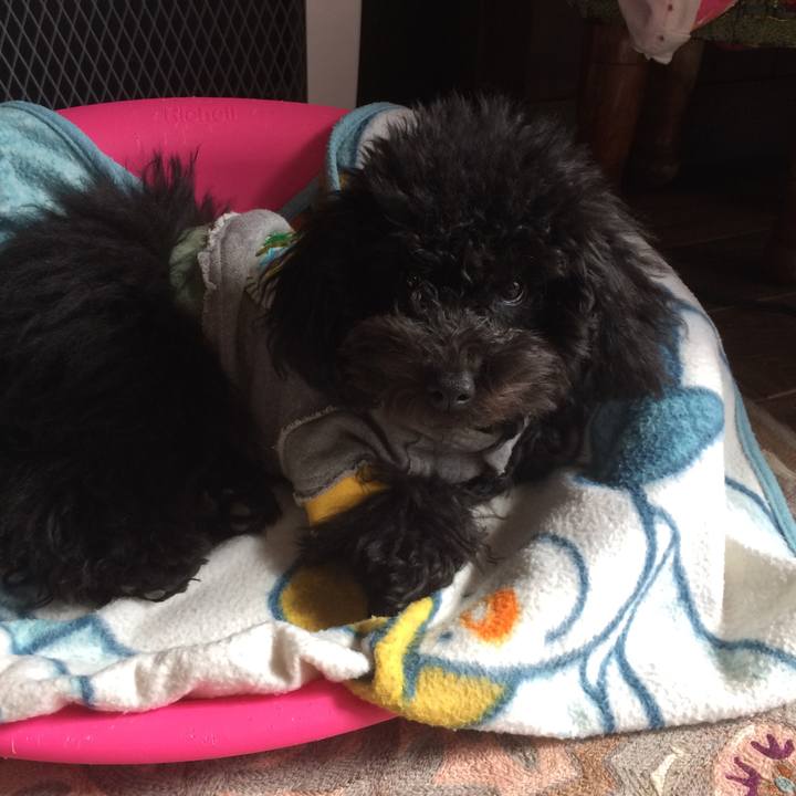 9bb92da9 cda7 4ab1 ad2c 0df434c1b467 1511062214562