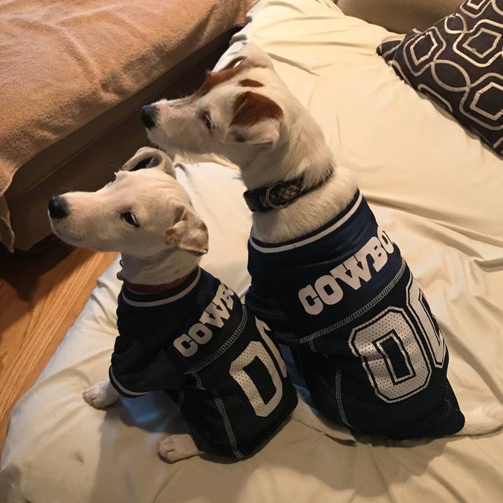 9bb93900 c789 4019 9217 a64da7e9dcdd 1535330048442