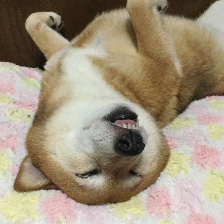 9bb97f3c 9127 4da8 9569 0811d2a4a306 1592998849369