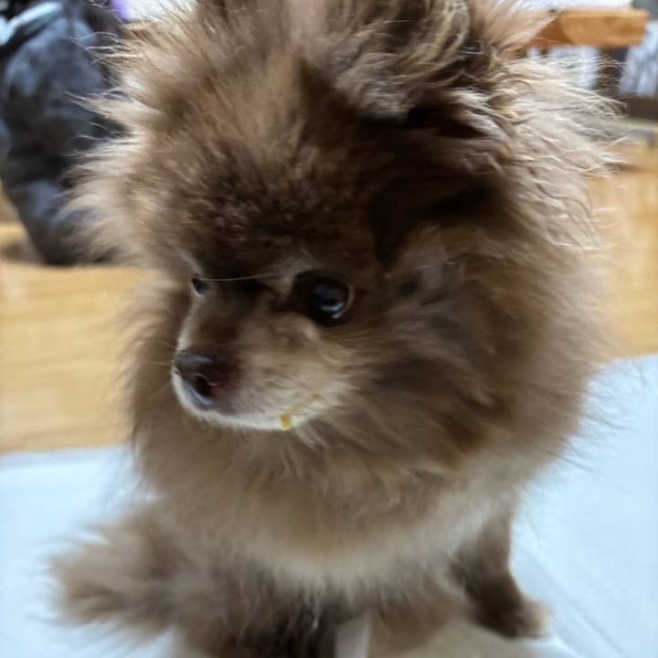 9bb9a5f6 a78d 4895 8878 a8274b027964 1772661303845