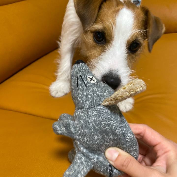 9bb9ad9f 767c 416b 9bb5 6c706ec38cc2 1683455410667