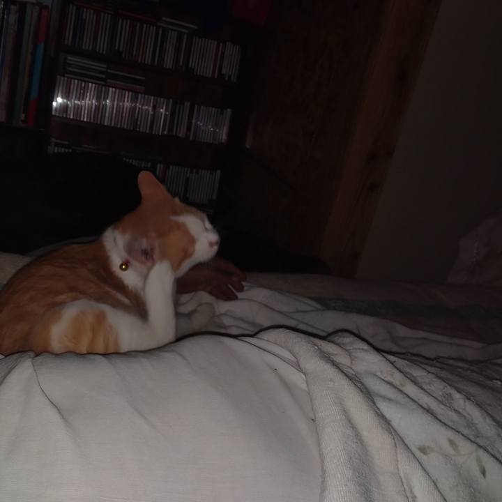 9bb9d92b 5377 4976 a03c f2f7f818b8d6 1751233408397