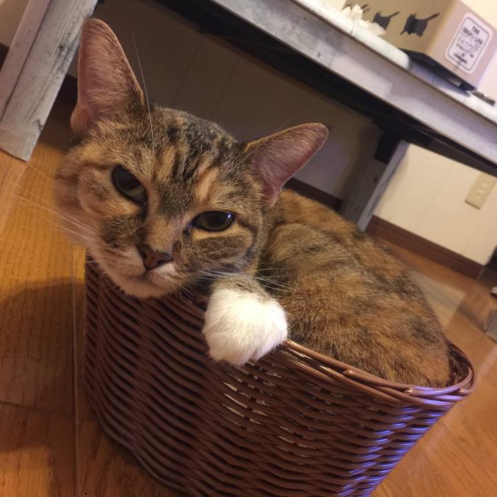 9bba23fa 9436 4723 aafa 7c5f86e2d9a1 1565196147387