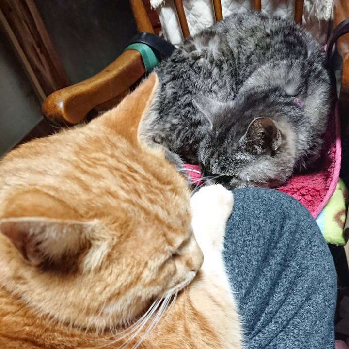 9bba3d99 56db 4cb0 8736 f6aaf82ebce3 1580764365915