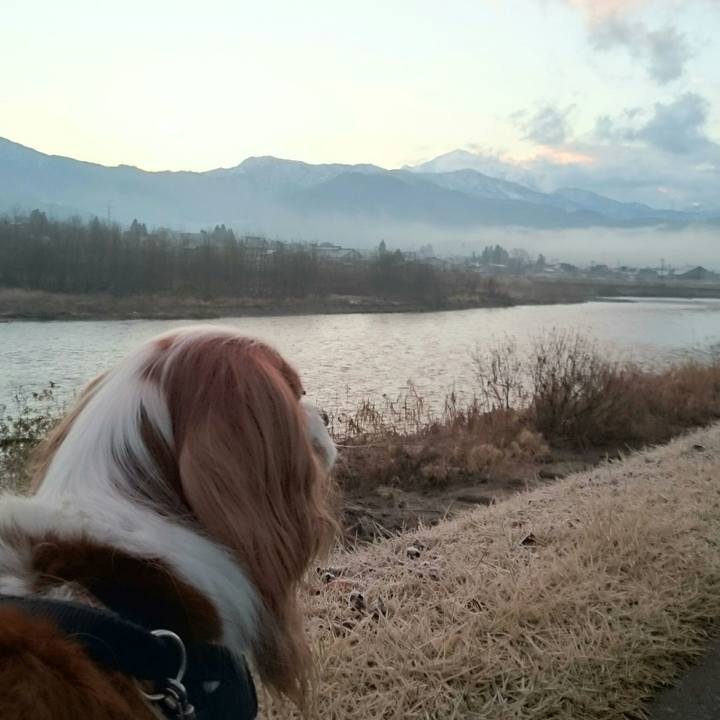 9bba449f 259f 4e80 8b02 9c5d54a597ac 1512945671762