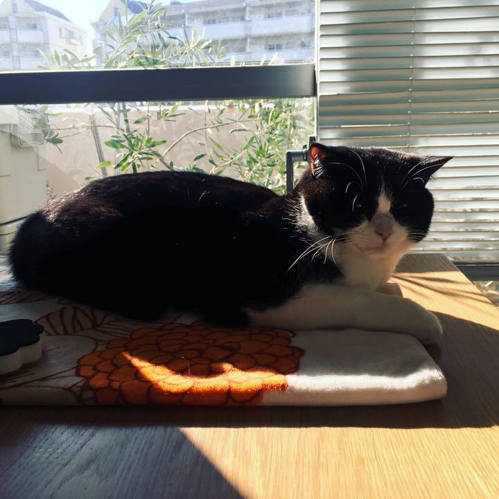 9bba461e 78eb 4a20 89b4 94d59175dd4b 1607160240868