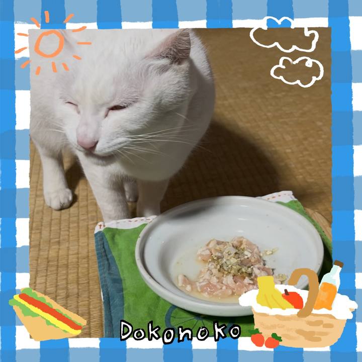 9bbaa8b6 8dc9 4794 b0df 91da16523790 1744720259553