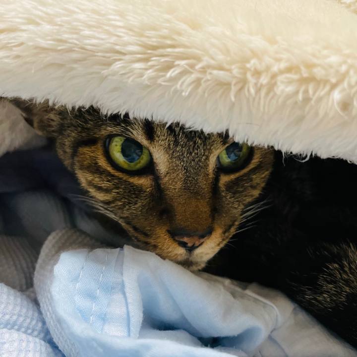 9bbb12fb 8779 4ec8 9600 f53ebf773f8c 1604799394624