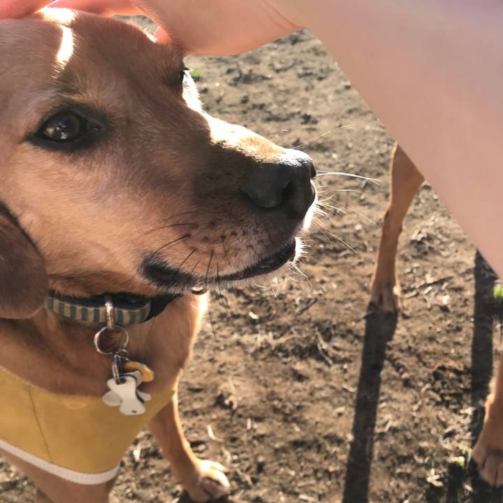 9bbb1ad2 7b94 4eee a7f8 e538c6cfc83c 1549527169007