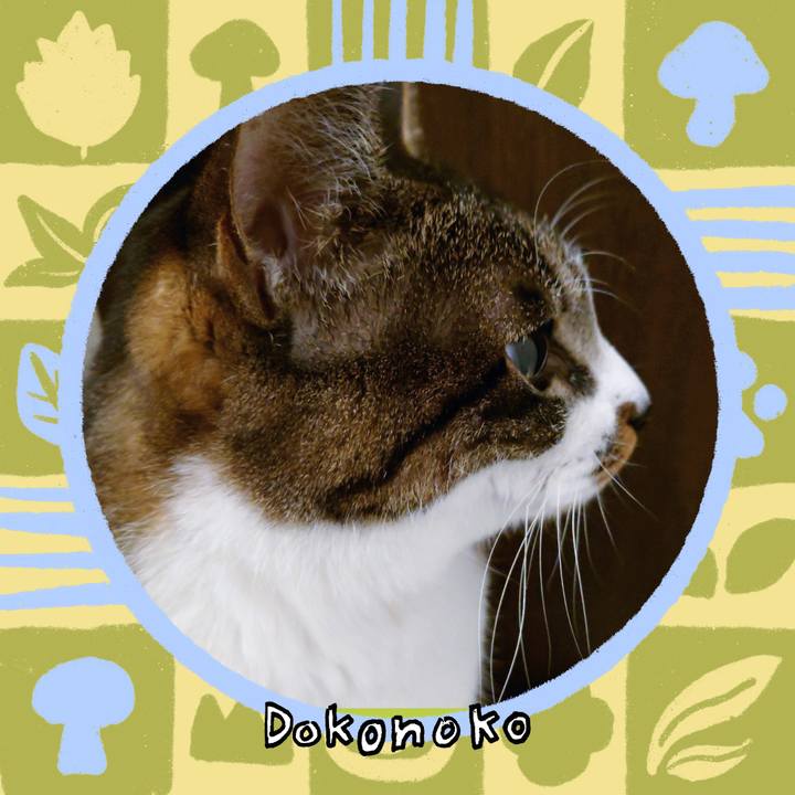 9bbb2493 3f1f 4aed 8f84 43bcc53250eb 1761553704520