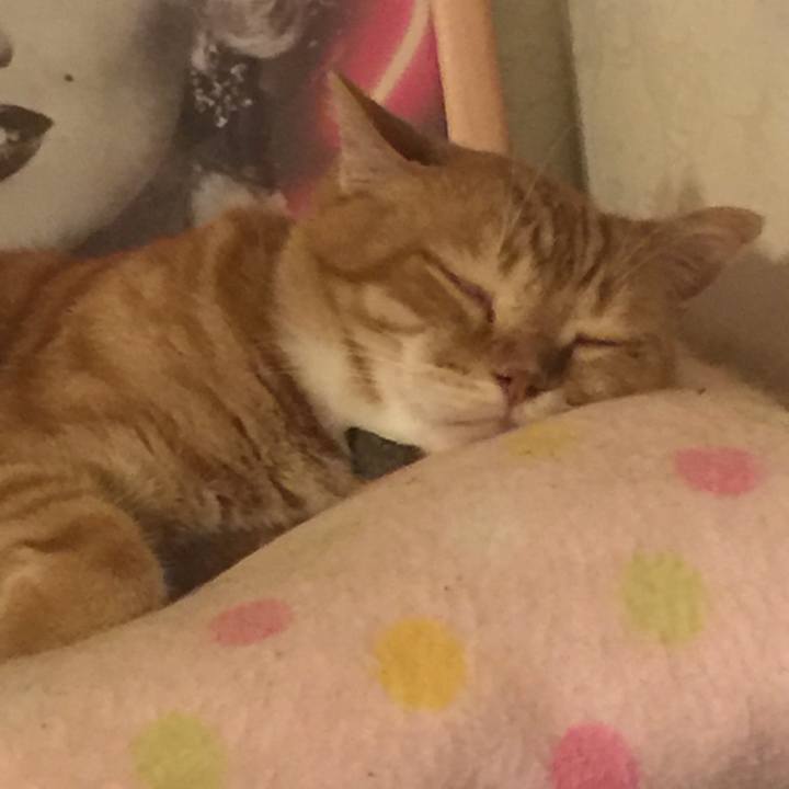 9bbb4f5f 6edf 42b6 9065 a9f906bbf29b 1559825638361