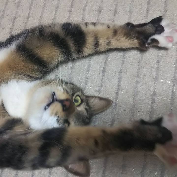 9bbb53cb 38f4 4179 9df5 198d8e3ad4a0 1621336540445