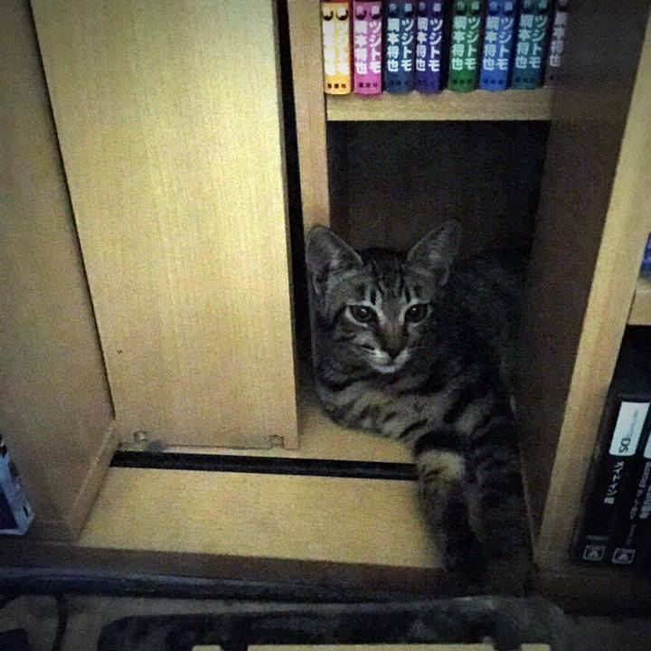 9bbb6563 83b1 4cf3 8917 232259134b38 1536966747300