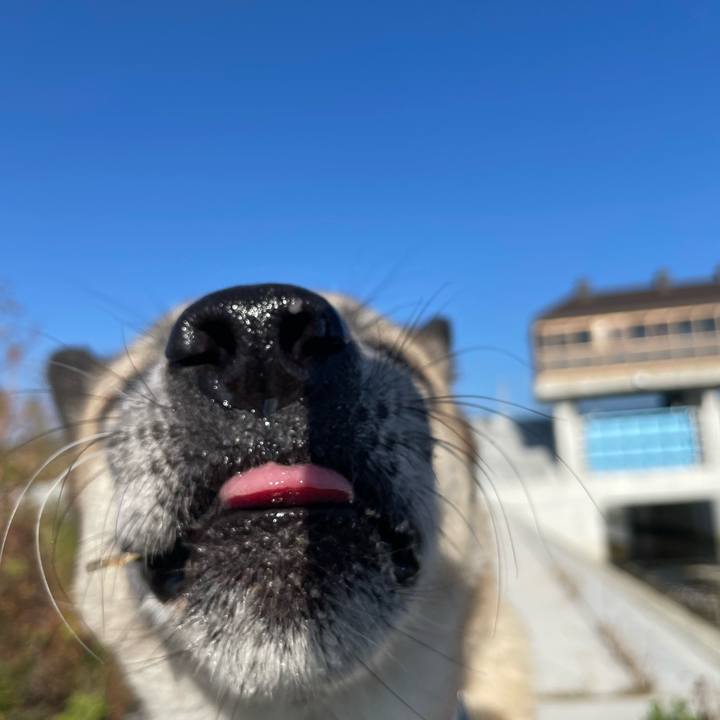 9bbb7d3d 3056 4580 abae 27ec67be5cd8 1700983352810