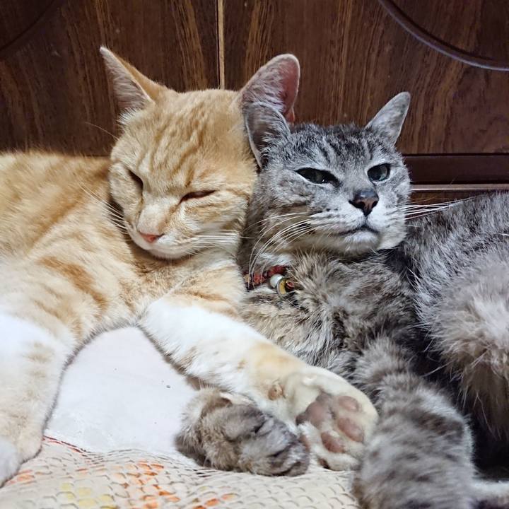 9bbb90fd f879 463d 9a64 73a6289cd596 1588420997267