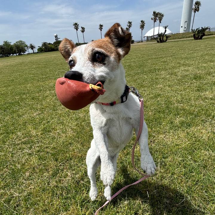 9bbba339 dfb9 41b7 8c5c 1144ff0aa980 1776933947650