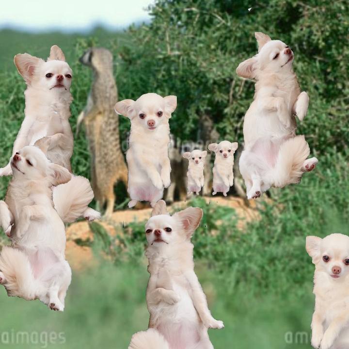 9bbbb57b 1919 45b9 a2d3 91ec53bb86cf 1717584320935