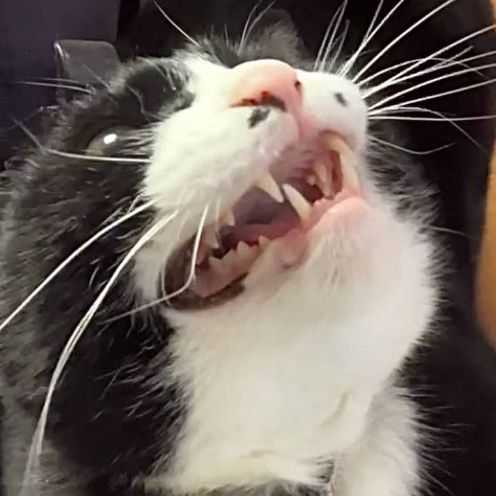 9bbbd7a5 8ee7 412a b19f 1f342f19a15d 1742434948606