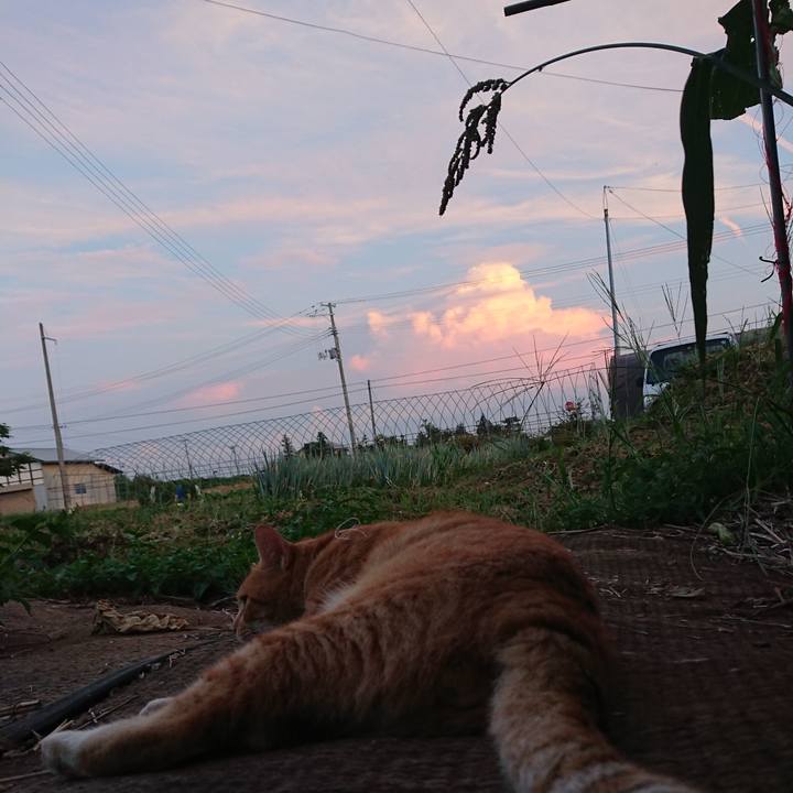 9bbc0390 56ee 4337 aaa2 83e4ce8019ca 1565690556980