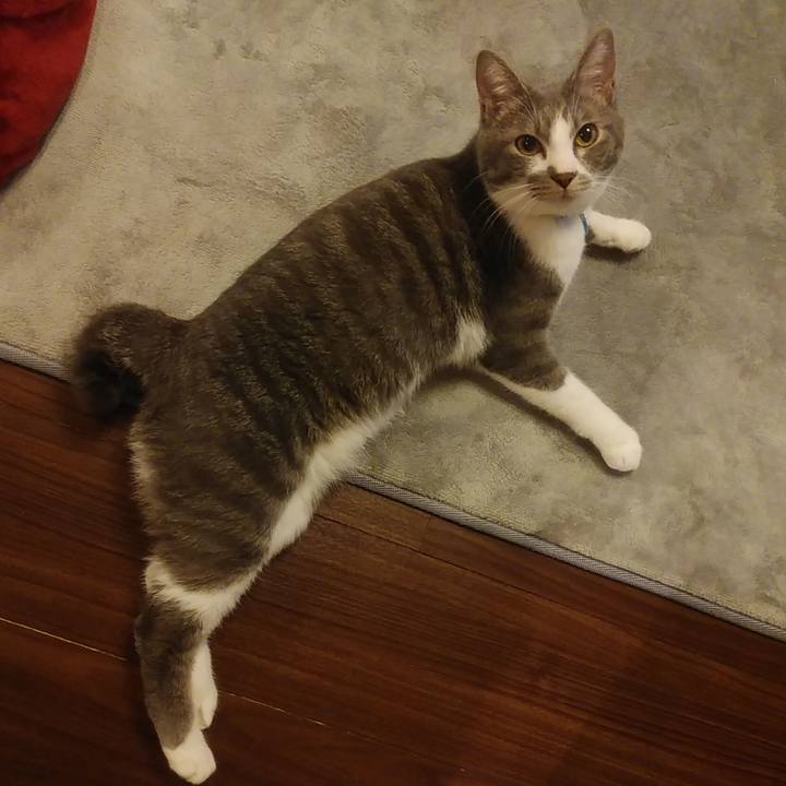 9bbc0484 e13e 48cc a7fb 26e5fe6b150f 1588164780114