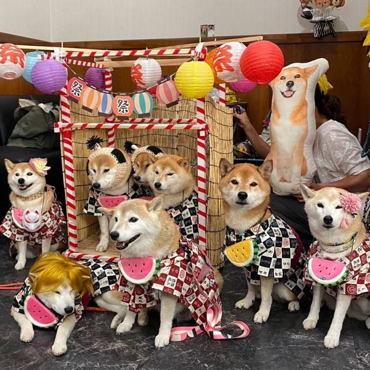 9bbc421e 0e11 4218 87d6 6e062e31a087 1724561680908