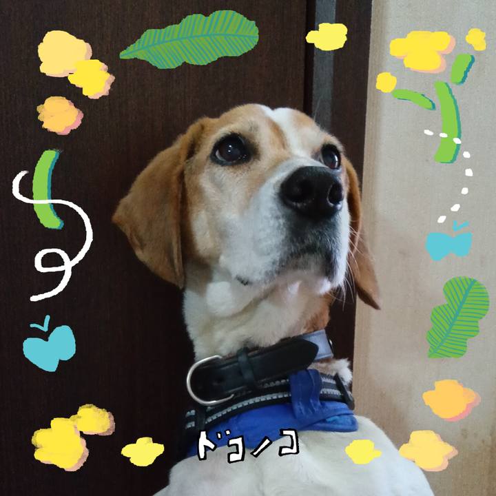 9bbc4d30 167a 40c5 b0e6 6b9158070289 1744529376045