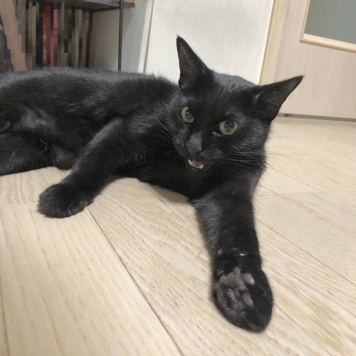 9bbc9895 2bba 4702 9ccc aa8b43ae59e7 1639486807835