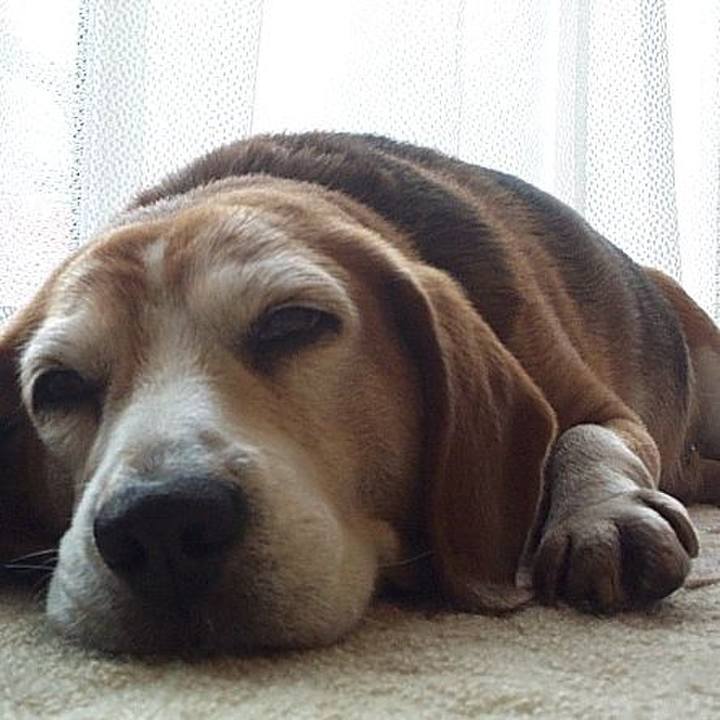 9bbc9ae5 d3ab 4bc0 abf0 847dcc14edc0 1638842285104