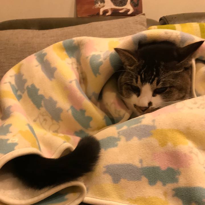 9bbca5cf cd7d 4b3c aa13 23951166d3c7 1603113793971