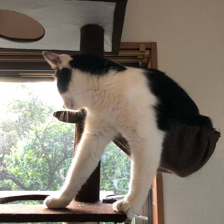 9bbcb4c0 770d 4e45 b126 aef673b66ff8 1558028404275