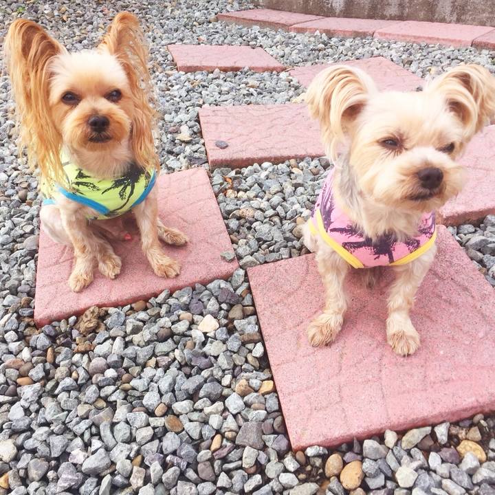 9bbcc4d0 b568 44fa 984b 112781d9c0cf 1535929519958