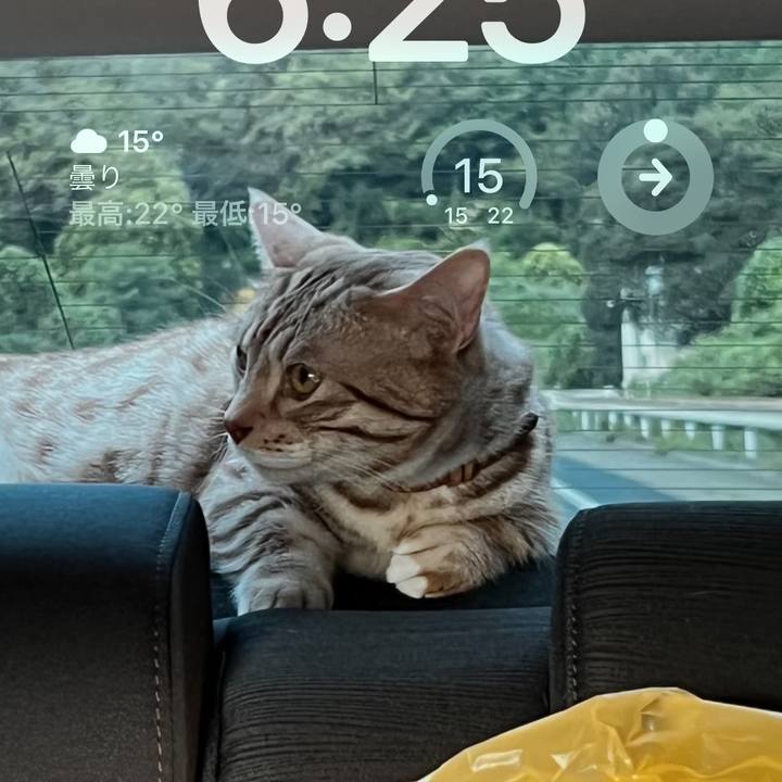 9bbcd8b4 4c3a 48cd 9bcc cd6f898b992e 1680733786513