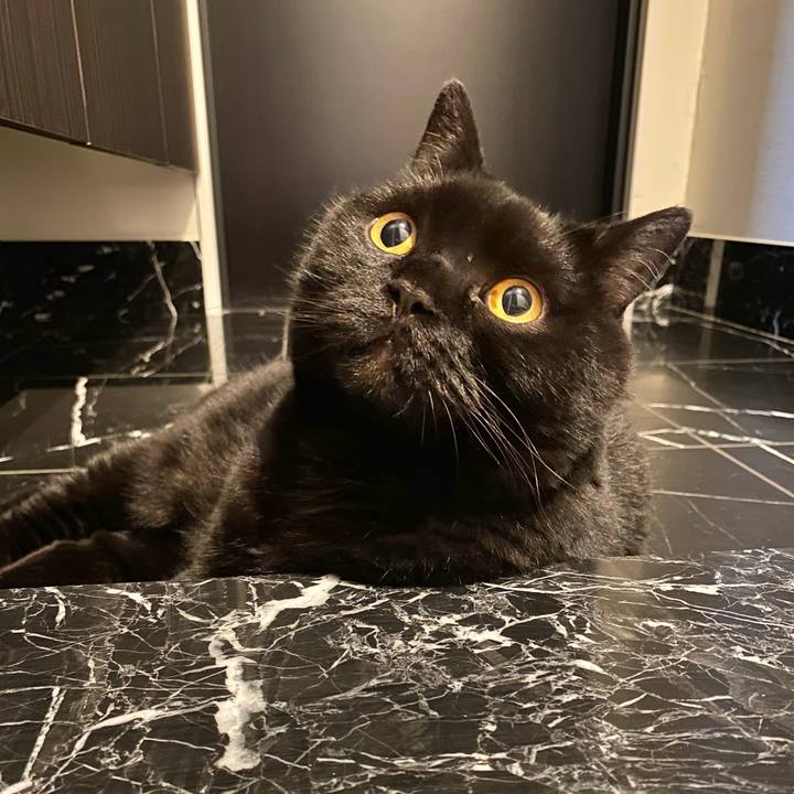 9bbce2ae 8443 4107 969b 9ec93fc78ce1 1686312619140