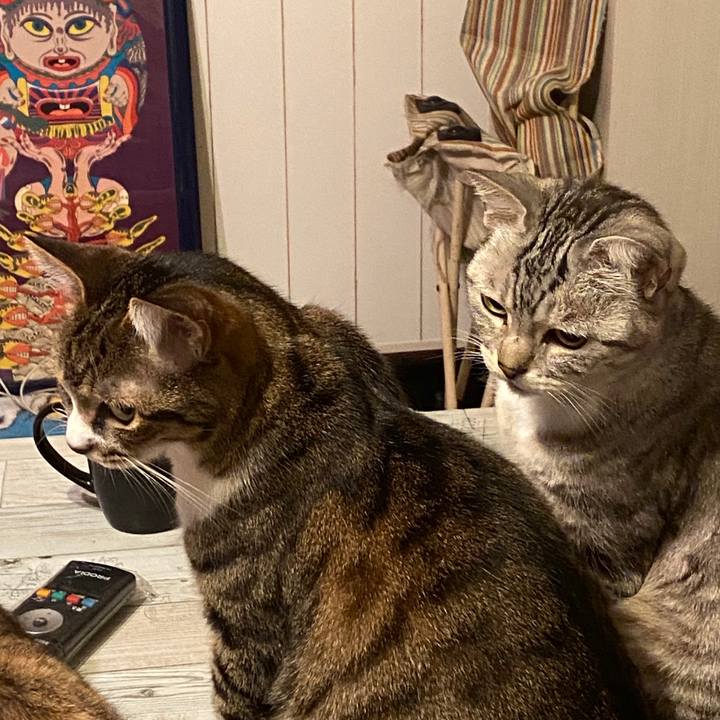 9bbcf799 0b49 426f be7c 880ca558001f 1584455393808