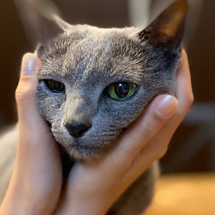 9bbd35e7 4bbc 43e9 9047 e162a03455b6 1584173297564