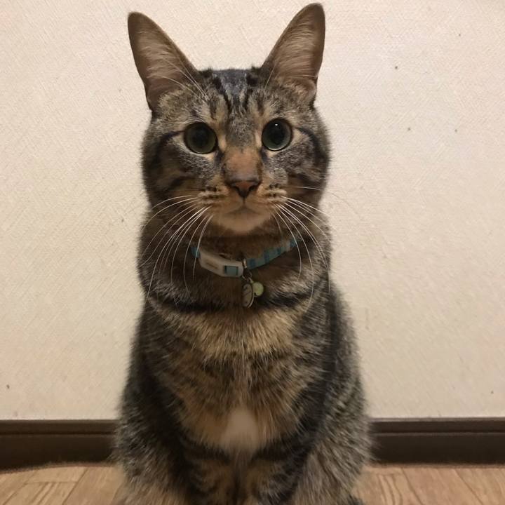 9bbd7244 09b0 400a b4de eb27fea30b86 1549374934684