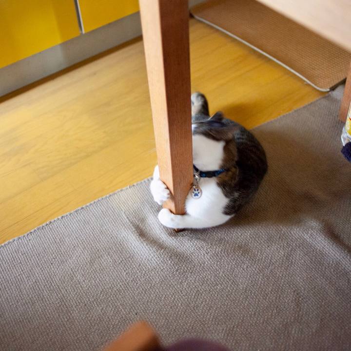 9bbdf317 f6c0 43cb 9015 9dd8baa1727d 1605360879886