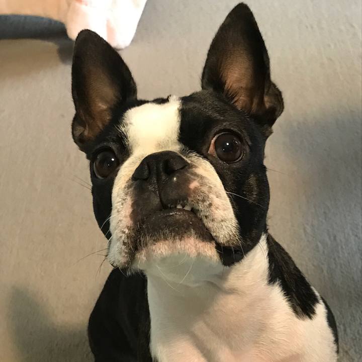 9bbdfb9d b4b2 4f78 97a7 21013839108a 1606390311984