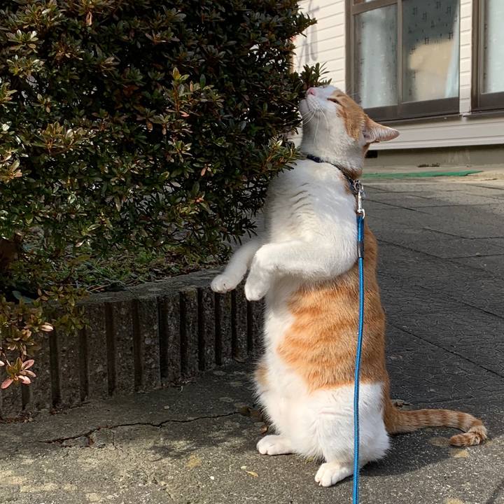 9bbe0280 5e19 498b 9025 357db4a48f92 1580106574862