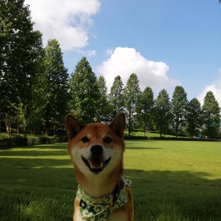 9bbe1e6b f034 414f 8be7 26d1c6b7ab7a 1596241199098