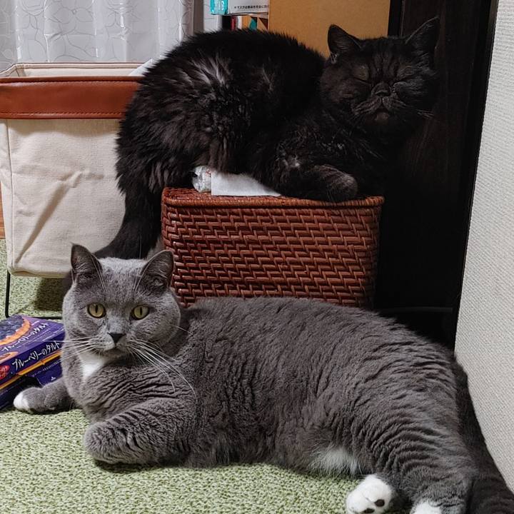 9bbe49f7 6533 4b16 a9d2 db71722e551a 1632135287735