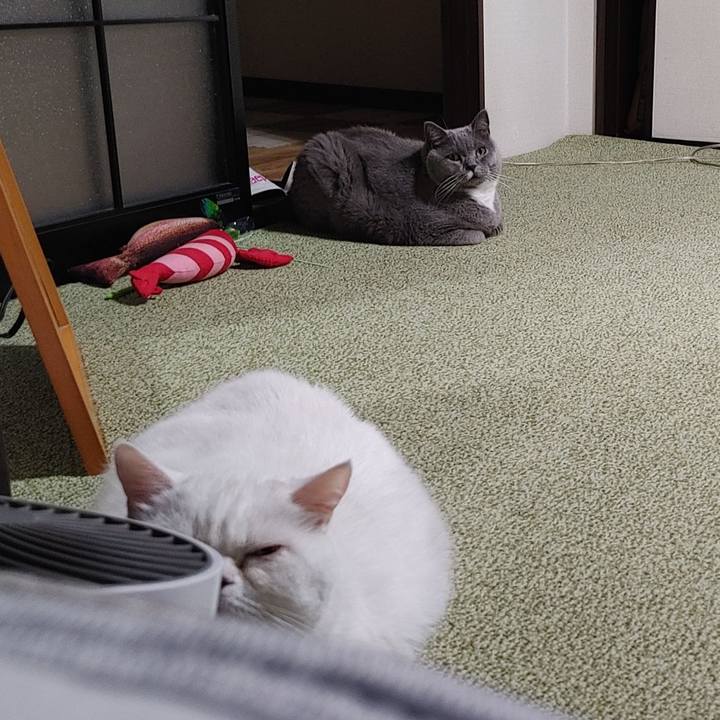 9bbe8131 522c 4605 88ef 5112ec138731 1655725515664