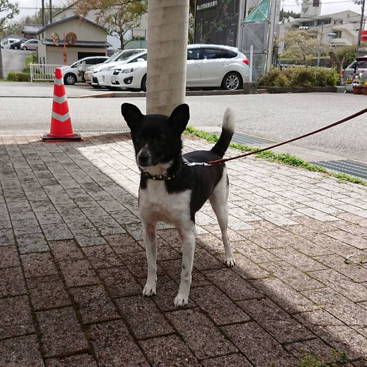 9bbea06a 79a5 485b 8016 5bbc2352d0ba 1523851728228