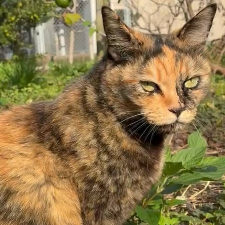 9bbee97c 30ee 45a2 b2d4 95ca6389571c 1762743870749