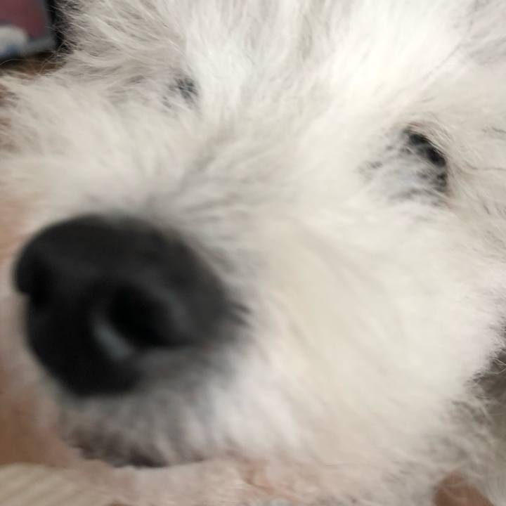 9bbf0299 07f3 47eb bf04 5328d0fb8fbd 1632064218108