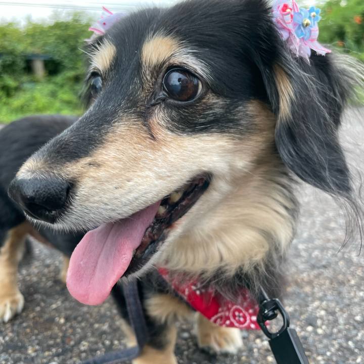 9bbf0a64 ebdb 48b6 9290 7210af6639df 1660478091286